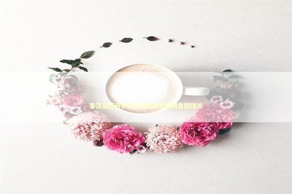 客流量回升罗斯百货第四季度销售额增长 新闻