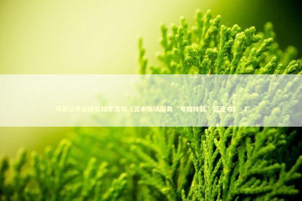 开源证券连续第四年发布《资本市场服务“专精特新”蓝皮书》_1 新闻