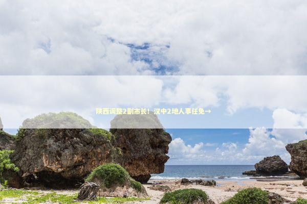 陕西调整2副市长！汉中2地人事任免→ 新闻