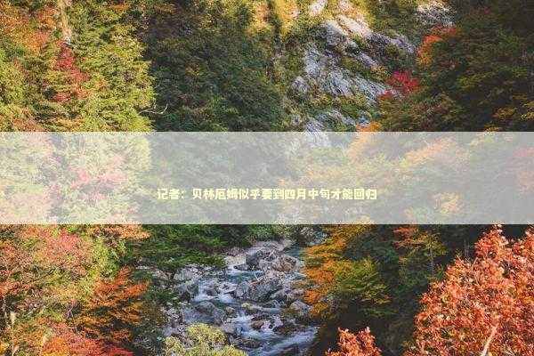 记者：贝林厄姆似乎要到四月中旬才能回归 新闻