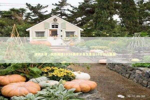 球市火爆，大连英博2026赛季年票发售后10分钟内售罄 新闻