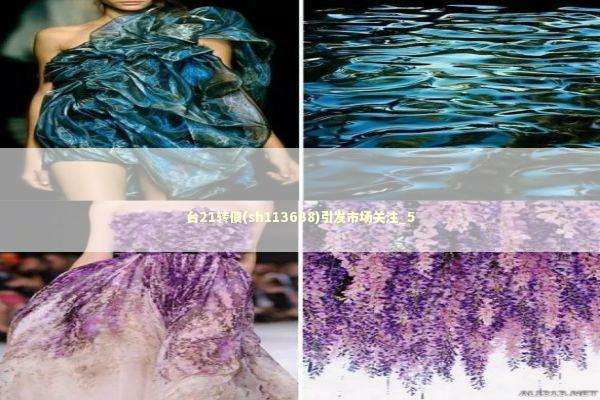 台21转债(sh113638)引发市场关注_5 新闻