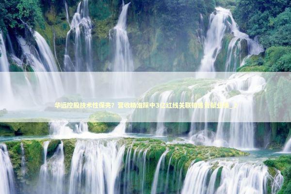 华远控股技术性保壳？营收精准踩中3亿红线关联销售贡献业绩_2 新闻