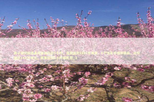 男子潜伏商场通风管道内近9小时，凌晨盗走1885克黄金、6个玉石手镯等商品，总价值达140万余元，案发后仅9小时被抓获_3 新闻