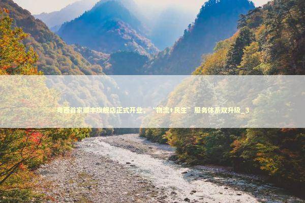 粤西首家顺丰旗舰店正式开业，“物流+民生”服务体系双升级_3 新闻