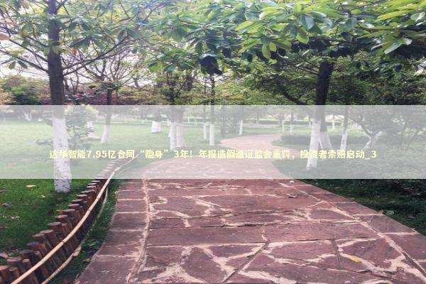 达华智能7.95亿合同“隐身”3年！年报造假遭证监会重罚，投资者索赔启动_3