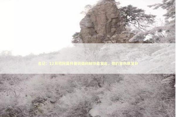 名记：12月初阿莫林曾说德利赫特能复出，他的背伤很复杂 新闻