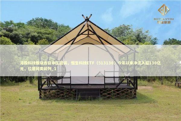 港股科技板块连日承压回调，恒生科技ETF（513130）今年以来净流入超130亿元，位居同类前列_1 新闻