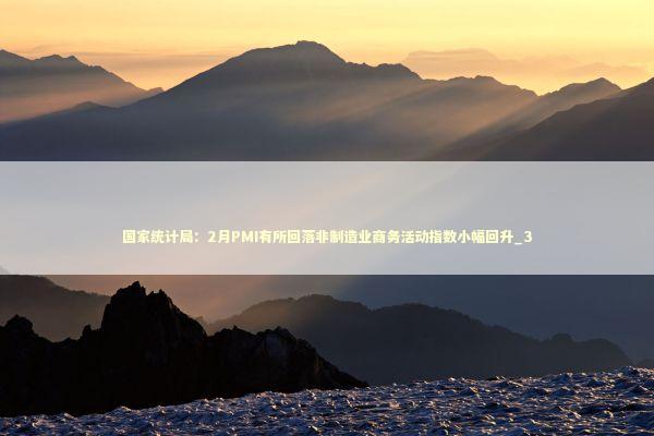 国家统计局：2月PMI有所回落非制造业商务活动指数小幅回升_3 新闻
