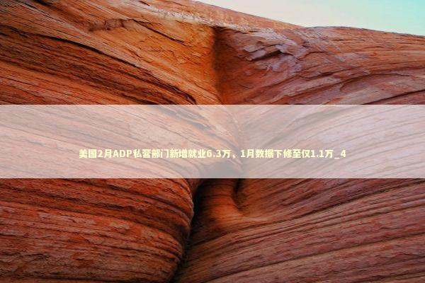 美国2月ADP私营部门新增就业6.3万，1月数据下修至仅1.1万_4 新闻