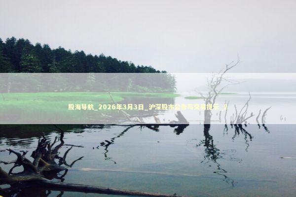 股海导航_2026年3月3日_沪深股市公告与交易提示_2 新闻