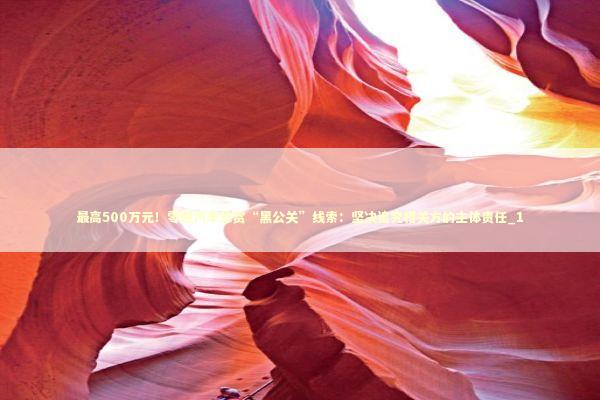 最高500万元！零跑汽车悬赏“黑公关”线索：坚决追究相关方的主体责任_1 新闻