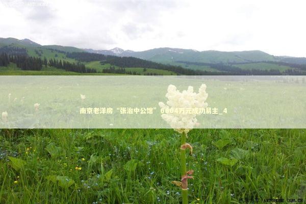 南京老洋房“张治中公馆”6604万元成功易主_4 新闻