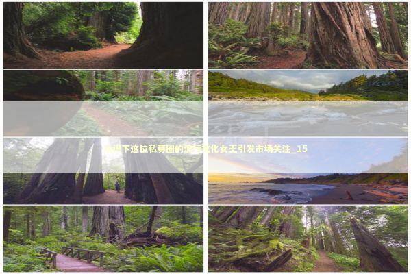 认识下这位私募圈的流行文化女王引发市场关注_15