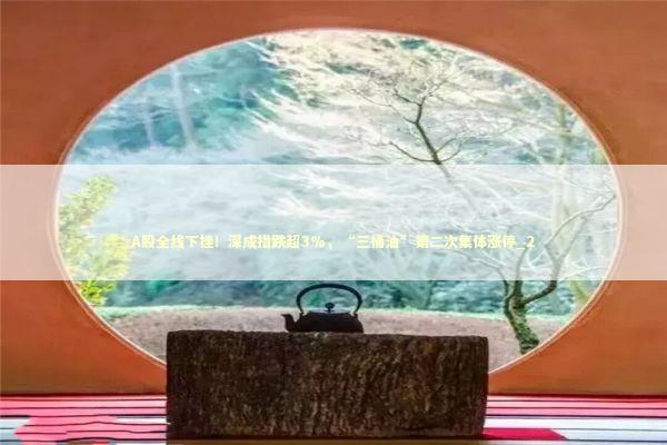 A股全线下挫！深成指跌超3%，“三桶油”第二次集体涨停_2 新闻