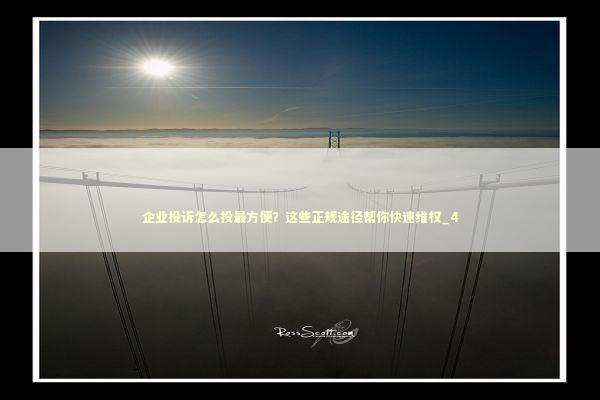 企业投诉怎么投最方便？这些正规途径帮你快速维权_4 新闻