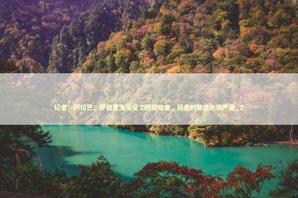 记者：阿拉巴、罗德里戈接受了伤势检查，后者的膝盖伤势严重_2 新闻