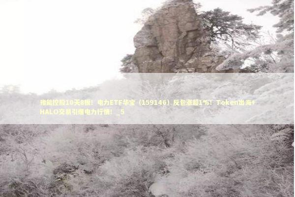 豫能控股10天8板！电力ETF华宝（159146）反包涨超1%！Token出海+HALO交易引爆电力行情！_5 新闻