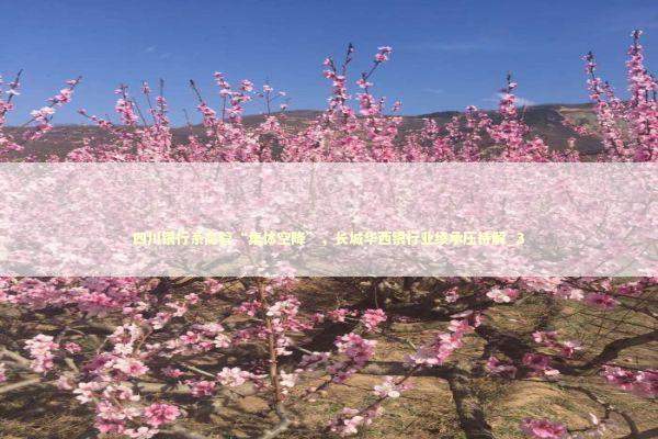 四川银行系高管“集体空降”，长城华西银行业绩承压待解_3 新闻