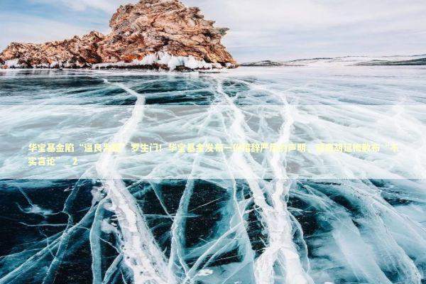 华宝基金陷“逼良为娼”罗生门！华宝基金发布一份措辞严厉的声明，谴责胡延梅散布“不实言论”_2 新闻