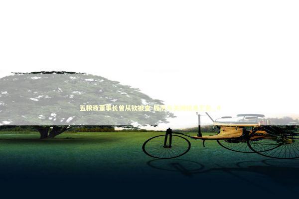 五粮液董事长曾从钦被查-履历与关键信息汇总_4