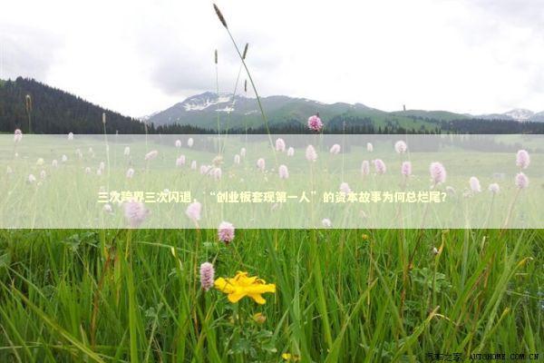 三次跨界三次闪退，“创业板套现第一人”的资本故事为何总烂尾？ 新闻