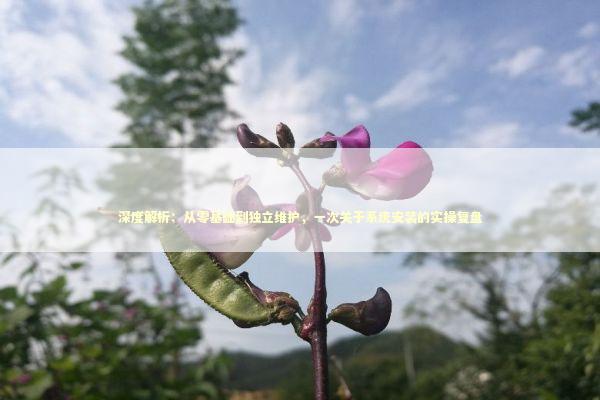 深度解析：从零基础到独立维护，一次关于系统安装的实操复盘 IT技术