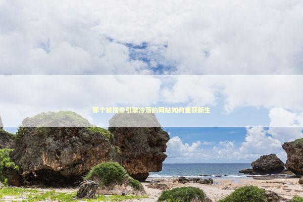那个被搜索引擎冷落的网站如何重获新生 IT技术