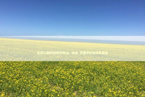 从拜仁助教到德甲神话：哈维·阿隆索的战术实验室 体育新闻