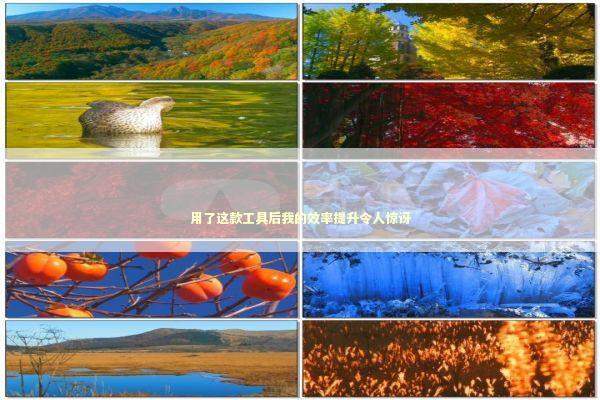 用了这款工具后我的效率提升令人惊讶 IT技术