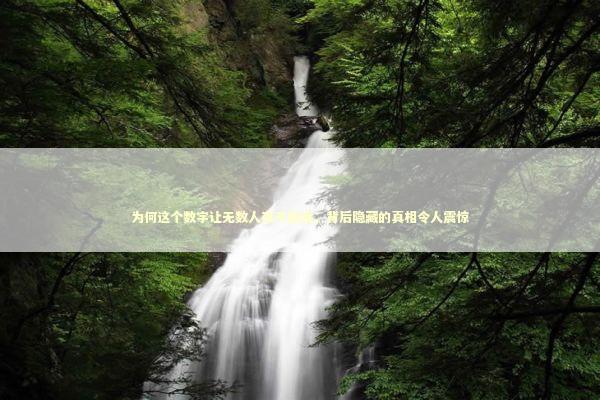 为何这个数字让无数人夜不能寐，背后隐藏的真相令人震惊 新闻