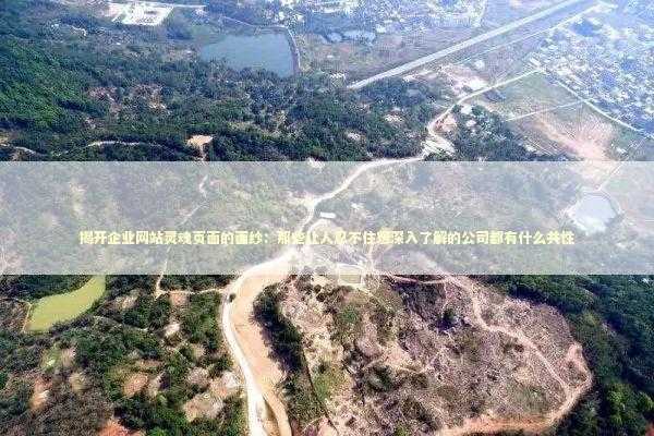 揭开企业网站灵魂页面的面纱：那些让人忍不住想深入了解的公司都有什么共性 IT技术