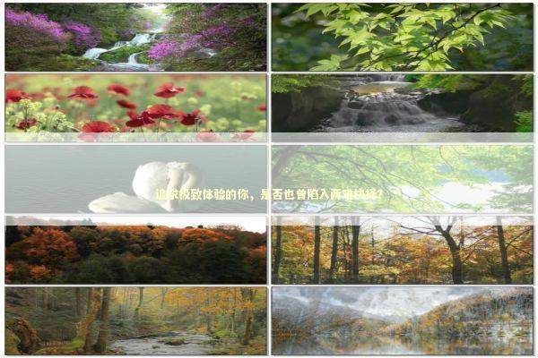 追求极致体验的你，是否也曾陷入两难抉择？ IT技术