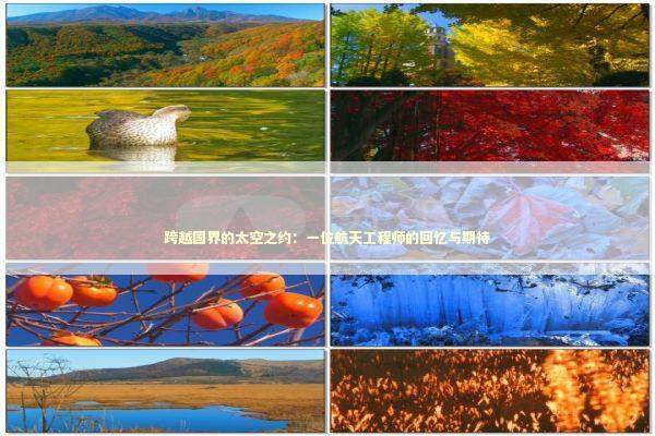 跨越国界的太空之约：一位航天工程师的回忆与期待 新闻