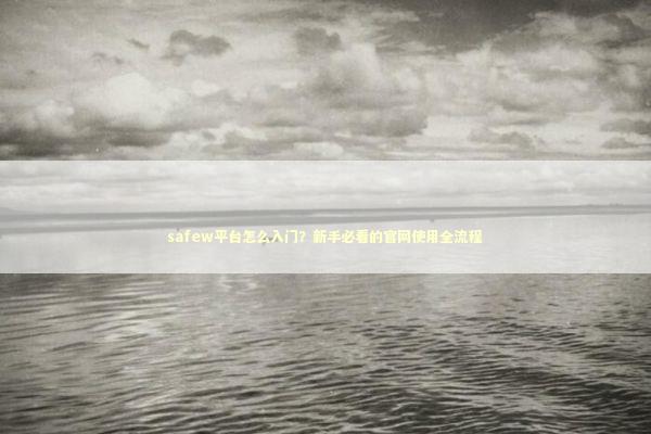 safew平台怎么入门？新手必看的官网使用全流程 IT技术