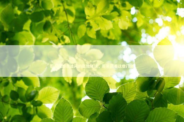 职场人都在追问的高效秘诀，原来藏着这些门道 新闻